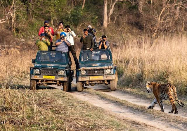 Jim Corbett National Park
