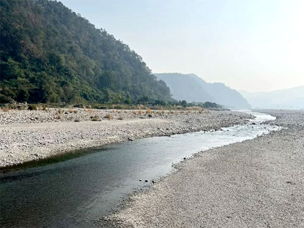 Kosi River